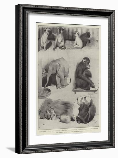 Some Members of the Barnum and Bailey Menagerie at Olympia-Cecil Aldin-Framed Giclee Print