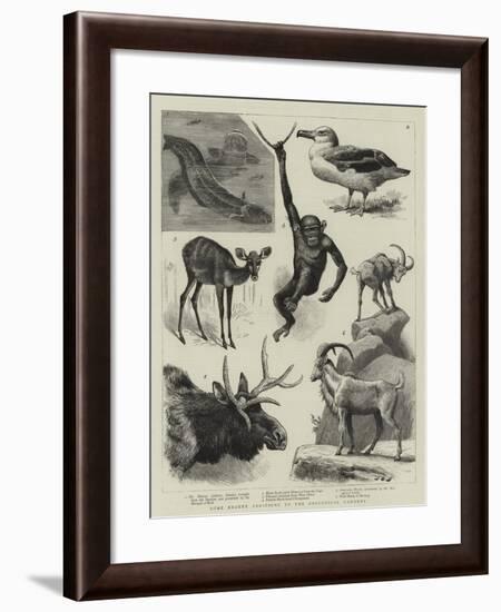Some Recent Additions to the Zoological Gardens-null-Framed Giclee Print