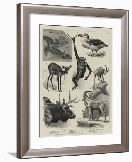 Some Recent Additions to the Zoological Gardens-null-Framed Giclee Print