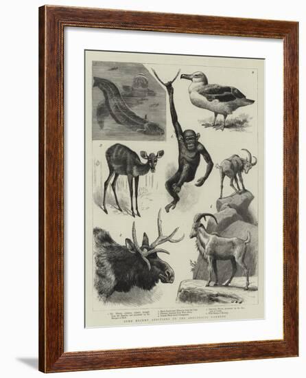 Some Recent Additions to the Zoological Gardens-null-Framed Giclee Print