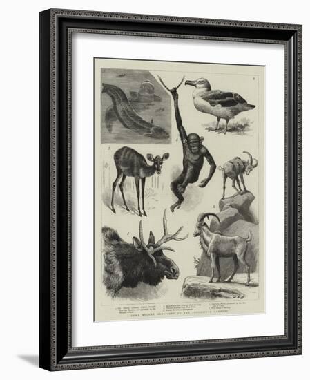 Some Recent Additions to the Zoological Gardens-null-Framed Giclee Print