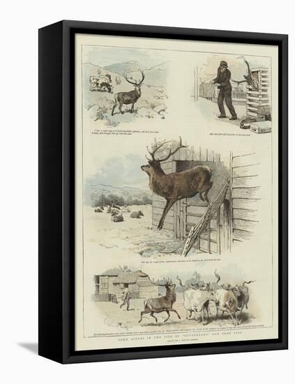 Some Scenes in the Life of Sutherland, Our Tame Stag-Charles Burton Barber-Framed Premier Image Canvas