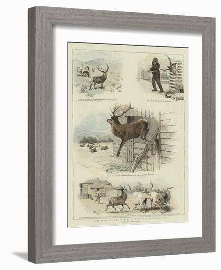 Some Scenes in the Life of Sutherland, Our Tame Stag-Charles Burton Barber-Framed Giclee Print