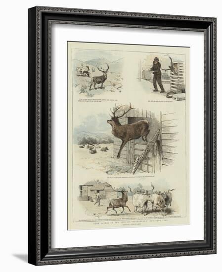 Some Scenes in the Life of Sutherland, Our Tame Stag-Charles Burton Barber-Framed Giclee Print