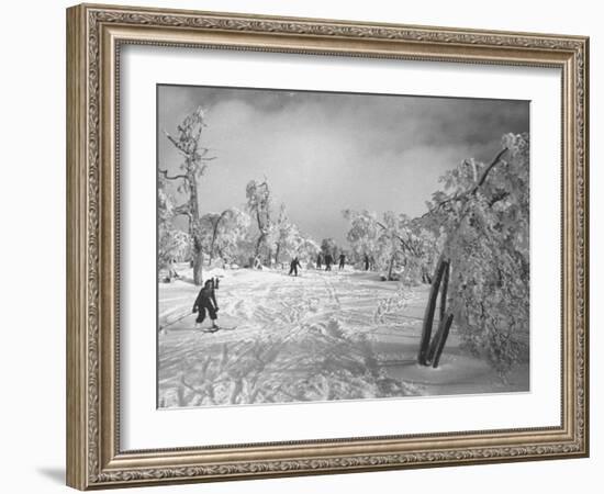 Some Ski Slopes-null-Framed Photographic Print