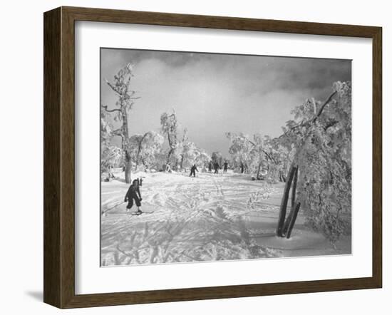 Some Ski Slopes-null-Framed Photographic Print