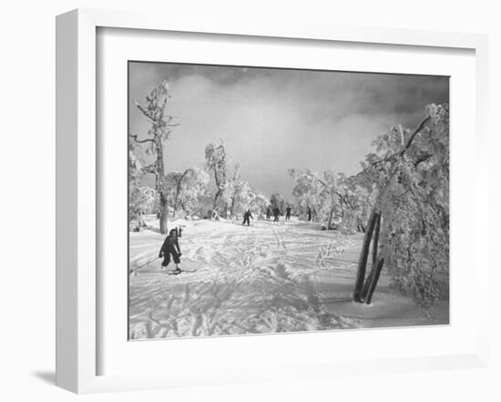 Some Ski Slopes-null-Framed Photographic Print