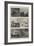 Some Studies of Animal Life by Instantaneous Photography-null-Framed Giclee Print