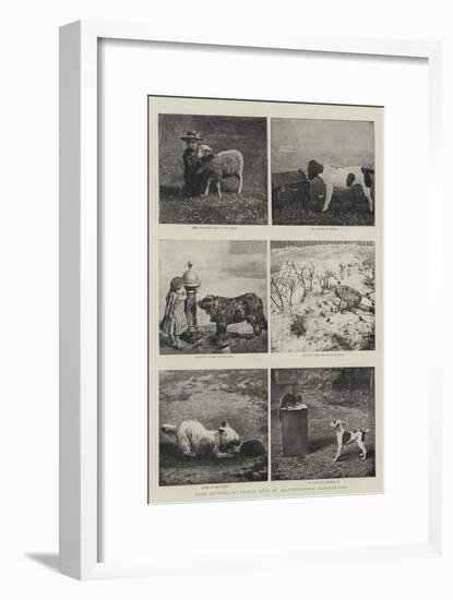 Some Studies of Animal Life by Instantaneous Photography-null-Framed Giclee Print