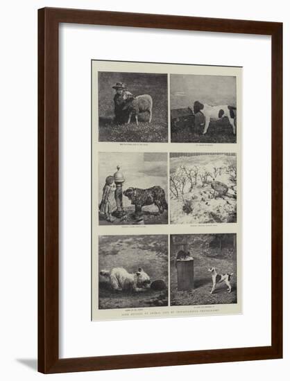Some Studies of Animal Life by Instantaneous Photography-null-Framed Giclee Print