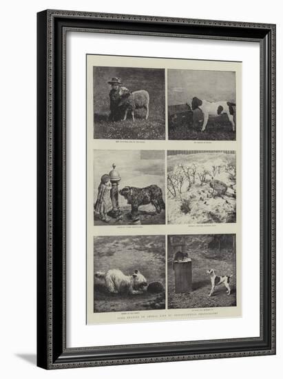 Some Studies of Animal Life by Instantaneous Photography-null-Framed Giclee Print