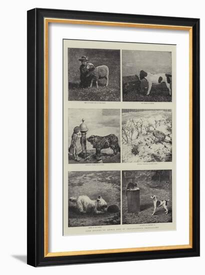 Some Studies of Animal Life by Instantaneous Photography-null-Framed Giclee Print