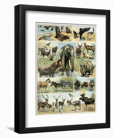 Giclee Print, , large