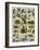 Some Wild Animals of the World-null-Framed Giclee Print