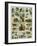 Some Wild Animals of the World-null-Framed Giclee Print