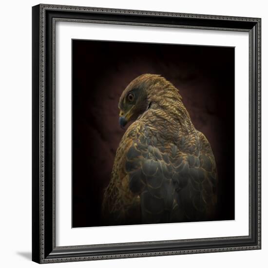 Somebody Watch Me-Savanna Hawk-Ferdinando Valverde-Framed Photographic Print