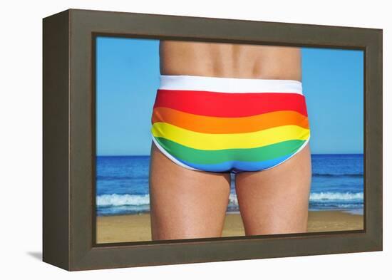 Someone Wearing a Rainbow Swimsuit on the Beach-nito-Framed Premier Image Canvas