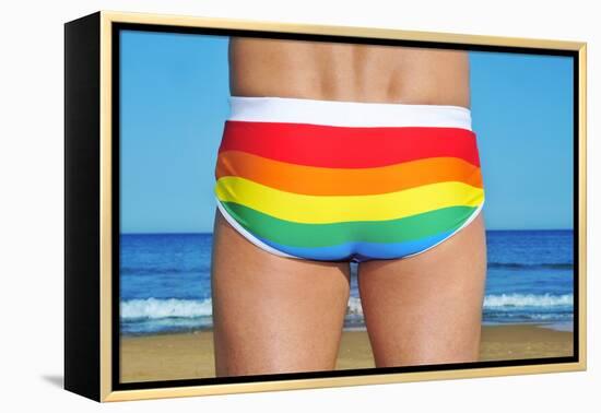 Someone Wearing a Rainbow Swimsuit on the Beach-nito-Framed Premier Image Canvas