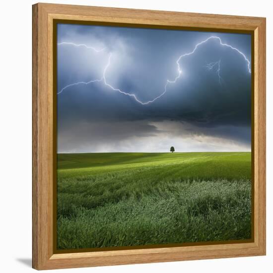 Someplace in Summer-Franz Schumacher-Framed Premier Image Canvas