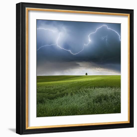 Someplace in Summer-Franz Schumacher-Framed Photographic Print