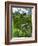 Somerset Landscape-Sarah Thompson-Engels-Framed Giclee Print