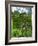 Somerset Landscape-Sarah Thompson-Engels-Framed Giclee Print