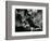 Somestacks, c. 1975-Brett Weston-Framed Photographic Print