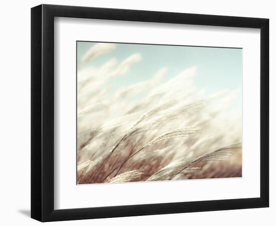 Something Blue-Tracey Telik-Framed Photographic Print