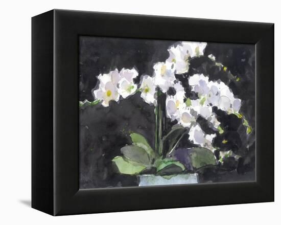 Something Floral VII-Samuel Dixon-Framed Stretched Canvas