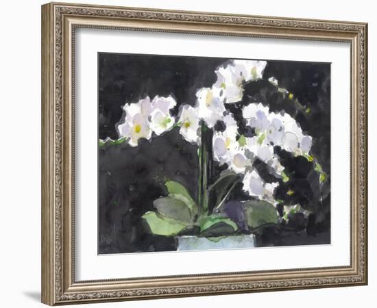 Something Floral VII-Samuel Dixon-Framed Art Print