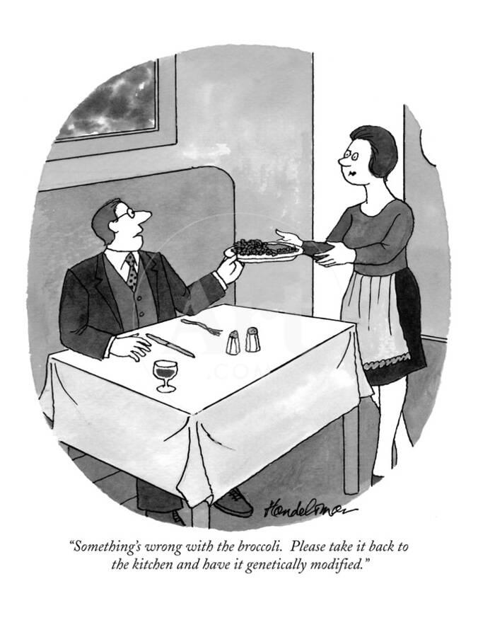 Something S Wrong With The Broccoli Please Take It Back To Kitchen New Yorker Cartoon Premium Giclee Print By J B Handelsman Art Com