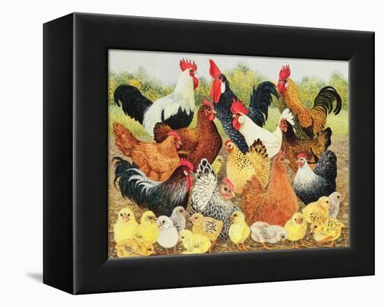 Something to Crow About-Pat Scott-Framed Premier Image Canvas