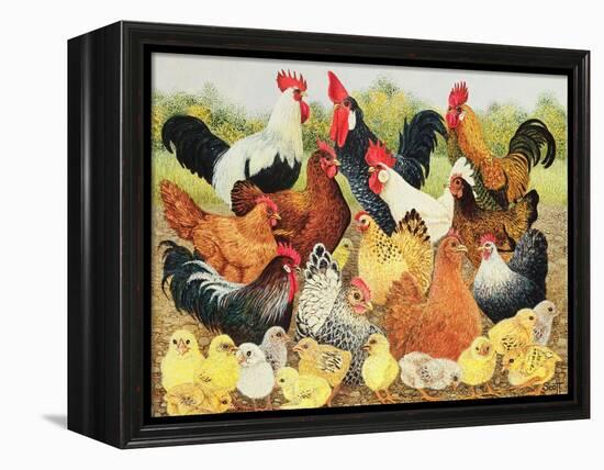 Something to Crow About-Pat Scott-Framed Premier Image Canvas