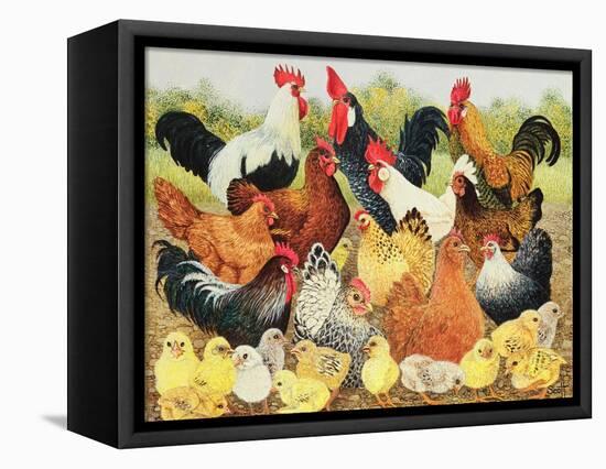 Something to Crow About-Pat Scott-Framed Premier Image Canvas
