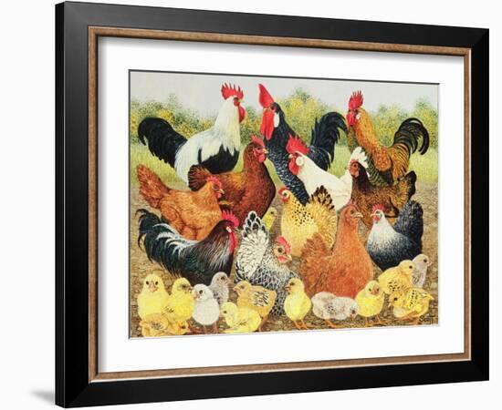 Something to Crow About-Pat Scott-Framed Giclee Print