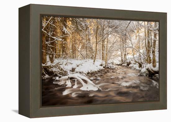 Sometimes the World is Perfect-Philippe Sainte-Laudy-Framed Premier Image Canvas