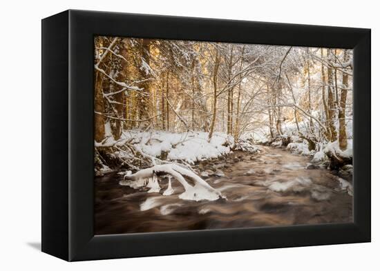 Sometimes the World is Perfect-Philippe Sainte-Laudy-Framed Premier Image Canvas