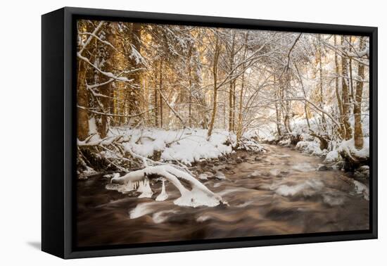 Sometimes the World is Perfect-Philippe Sainte-Laudy-Framed Premier Image Canvas