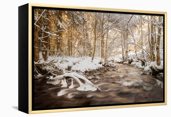 Sometimes the World is Perfect-Philippe Sainte-Laudy-Framed Premier Image Canvas