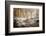 Sometimes the World is Perfect-Philippe Sainte-Laudy-Framed Photographic Print