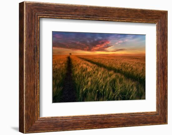 Somewhere At Sunset-Piotr Krol (Bax)-Framed Photographic Print