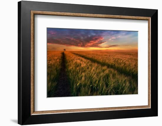 Somewhere At Sunset-Piotr Krol (Bax)-Framed Photographic Print