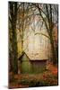 Somewhere in Time-Philippe Sainte-Laudy-Mounted Photographic Print