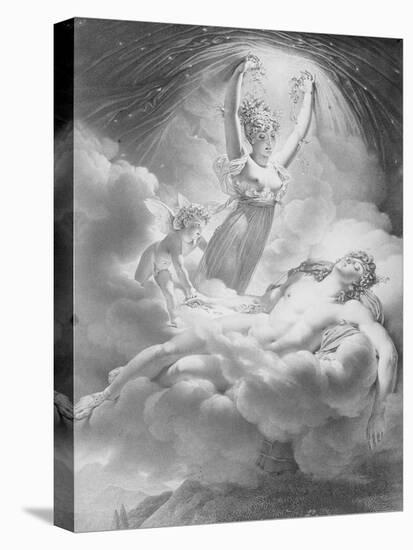 Stretched Canvas Print, , large