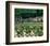 Somptuous Garden II-null-Framed Art Print