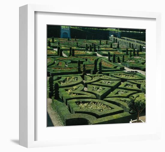 Somptuous Garden III-null-Framed Art Print