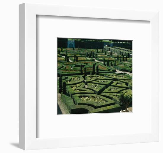 Somptuous Garden III-null-Framed Art Print