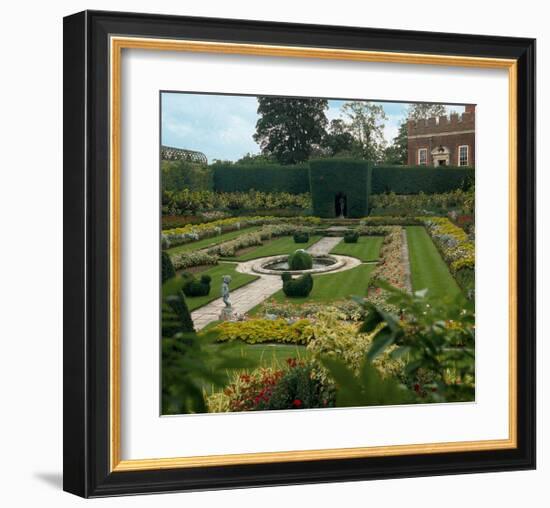 Somptuous Garden VII-null-Framed Art Print