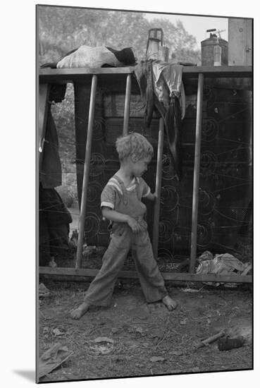 Son of destitute migrant, American River camp, near Sacramento, California, 1936-Dorothea Lange-Mounted Premium Photographic Print