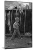 Son of destitute migrant, American River camp, near Sacramento, California, 1936-Dorothea Lange-Mounted Photographic Print